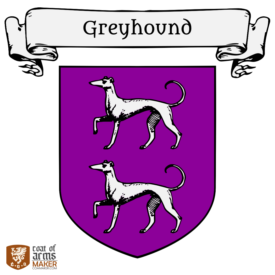 greyhound-coamaker