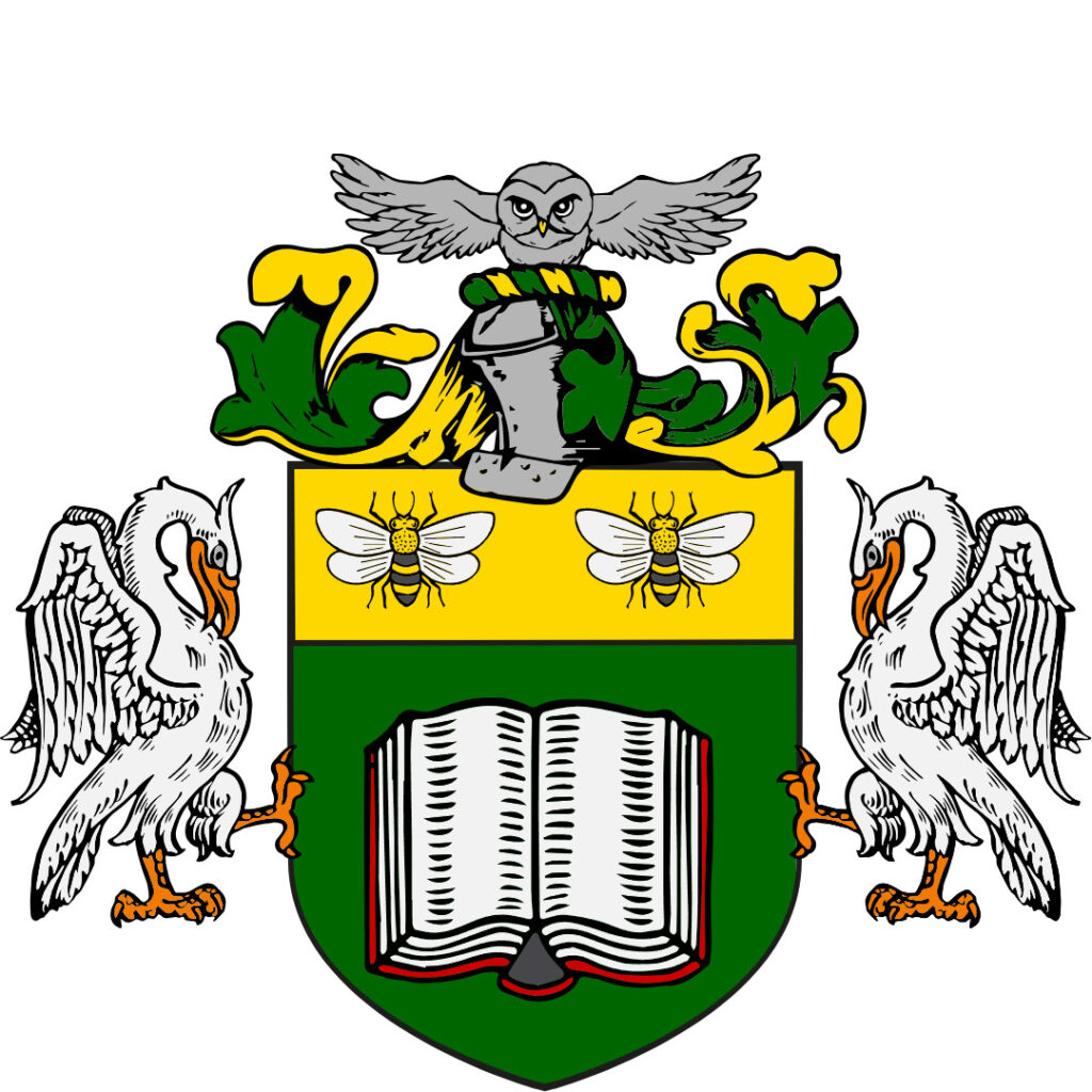 Universidad Mayor de Llanquihue