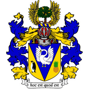 Wapen Zwaan zegelring man versie 1