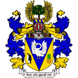 Wapen Zwaan zegelring man versie 1