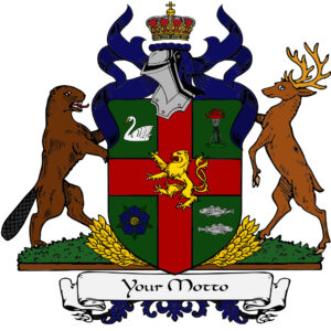 coat of arms 2.0