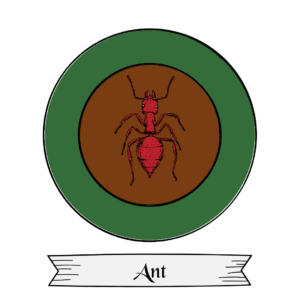 Ant