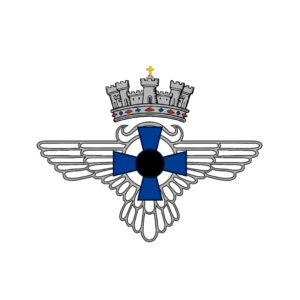 EJERCITO DEL AIRE FIESTA Y TAL