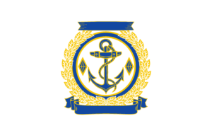 Sims Navy Flag