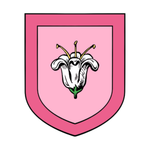 Elaine&#8217;s Personal Shield