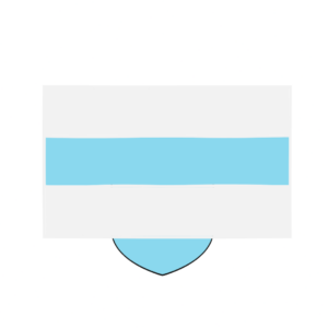 Chicago &#8211; Flag