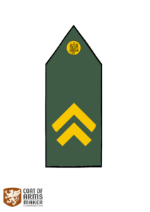 grado guardia scelta