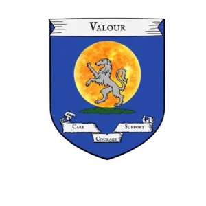 Valour 3
