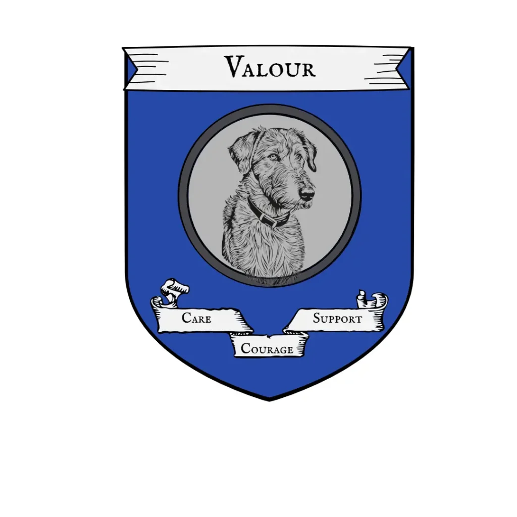 Valour 5