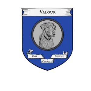 Valour 5
