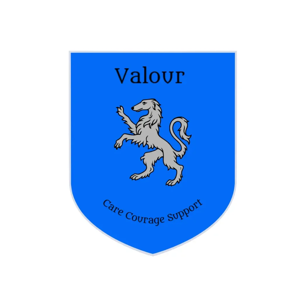 Valour 1