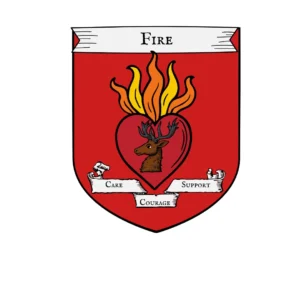 Fire 4