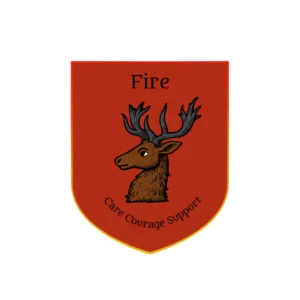 Fire 1
