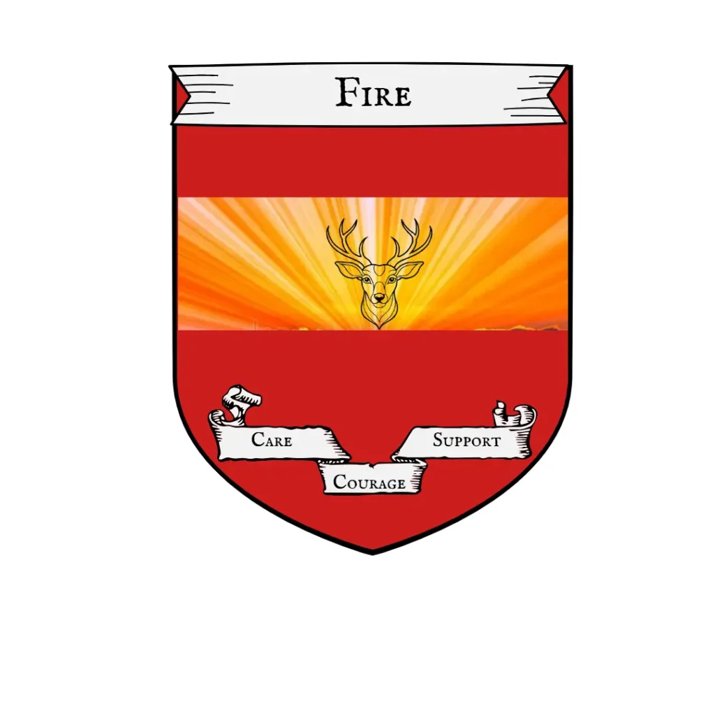 Fire 7