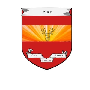 Fire 7