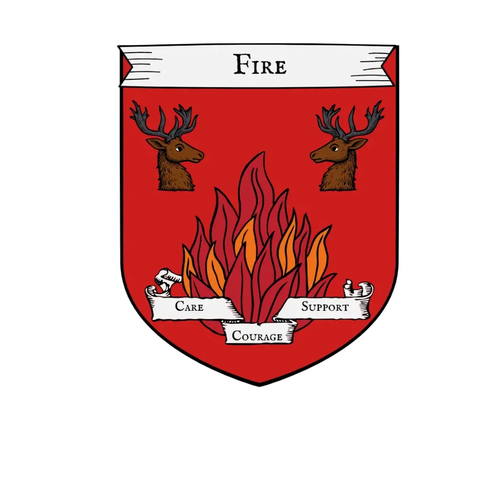 Fire 3