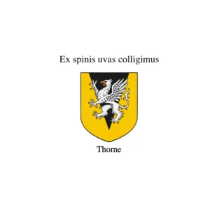 Thorne Griffin &#8211; Black Pile