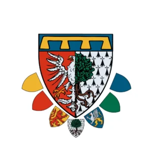 NEW AEDIRN COAT OF ARMS