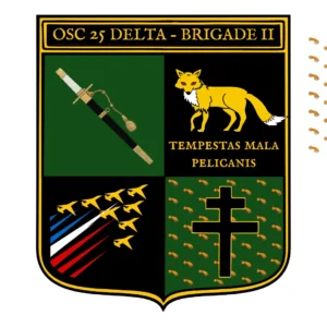 Patch B2