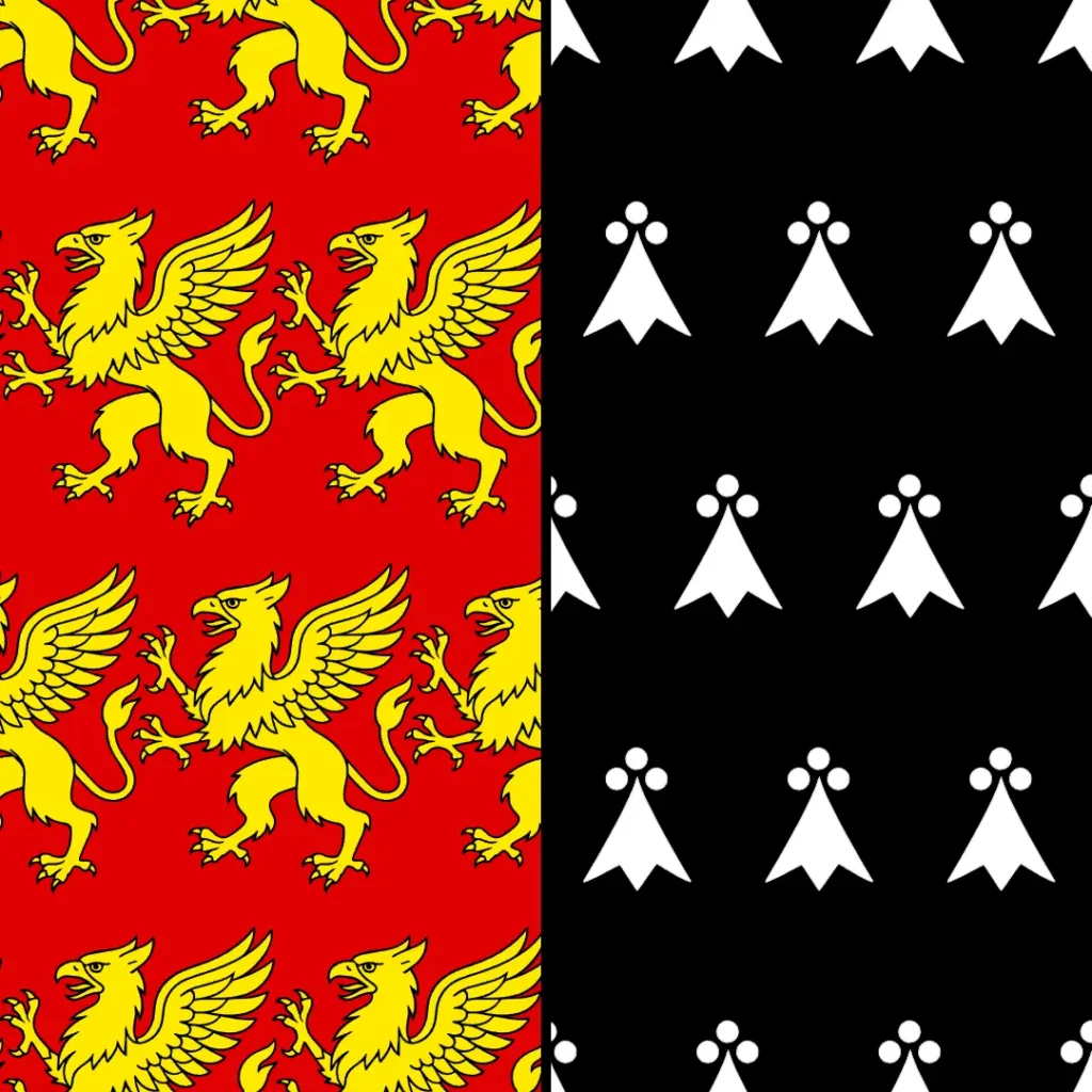 havy sheesh flag 1:1