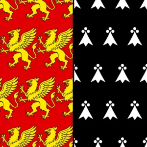 havy sheesh flag 1:1