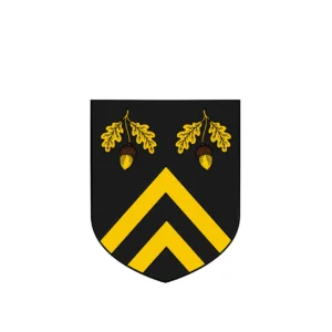 Olm-II