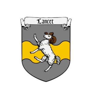 House Lancet