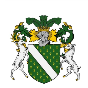 Random arms #4