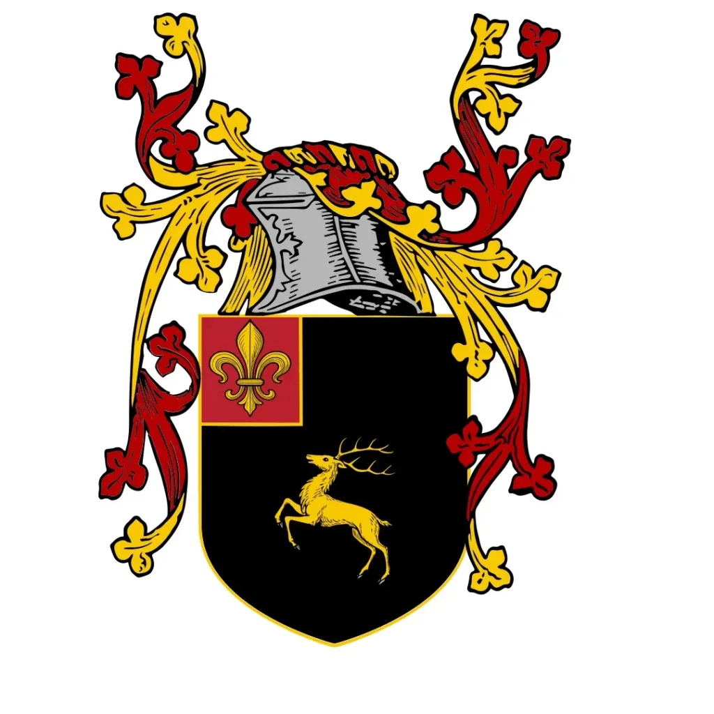 Variante 5
