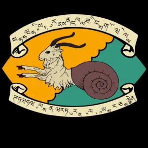 Die Schneckenkolben