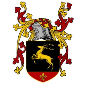 Variante 7