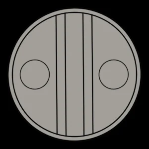 Nickel Coin
