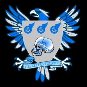 Arms of Flying Speed Planes