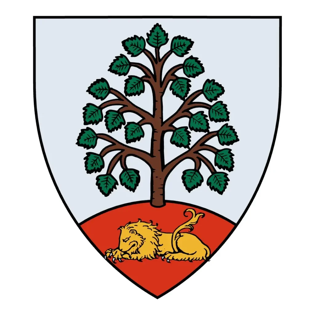 RODSTEIG