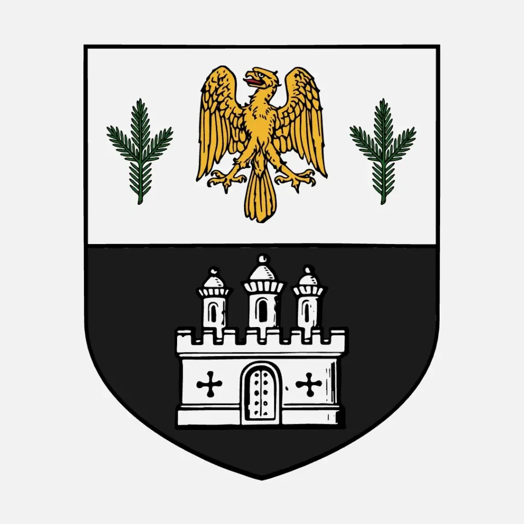 Counts of Aira (House Bracara)