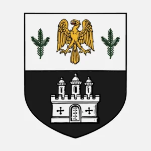 Counts of Aira (House Bracara)
